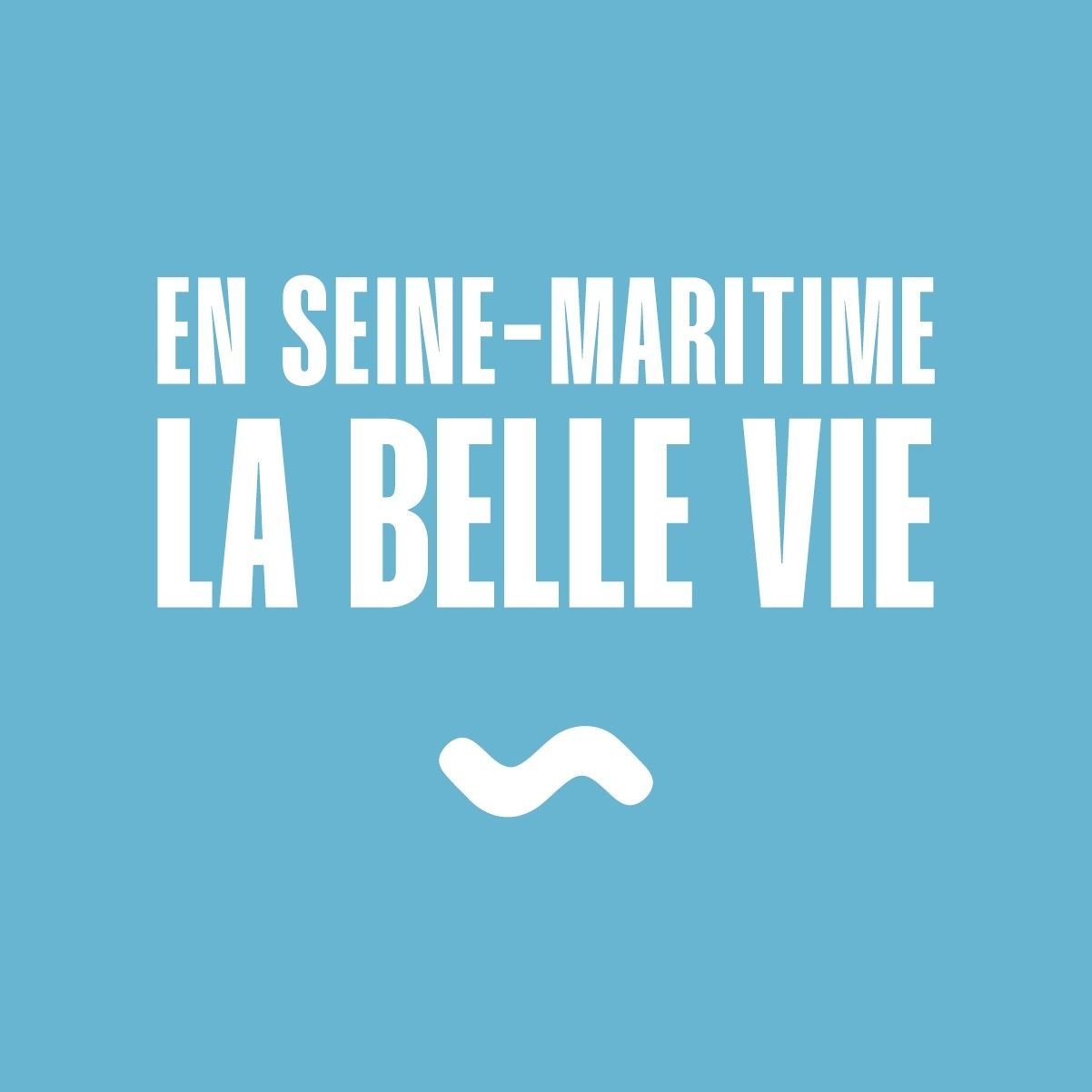 Logo Seine Maritime Tourisme